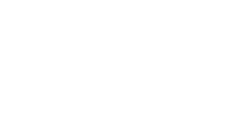 icn_blanco